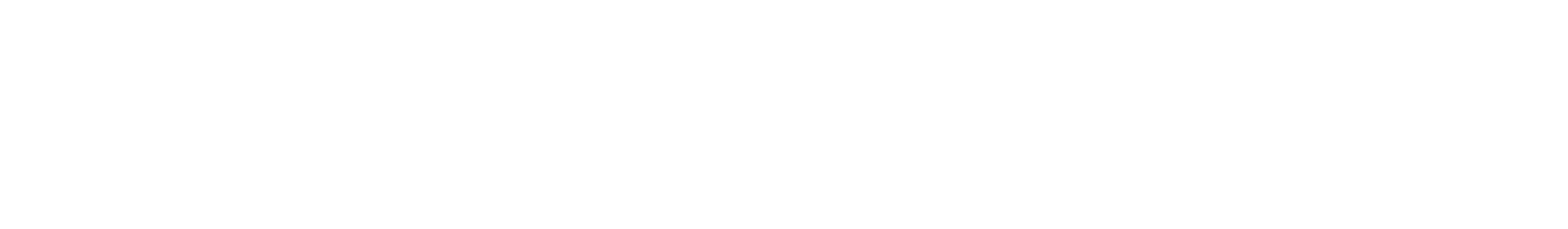 Car Perfection logo